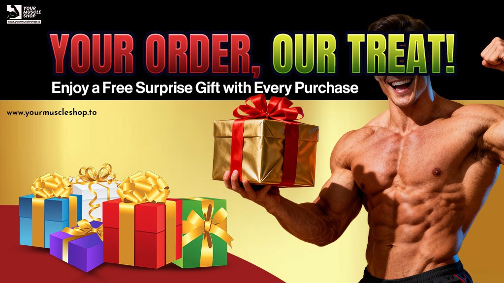 WhatsApp Image 2025 11 09 At 15.46.49 Cb941a36